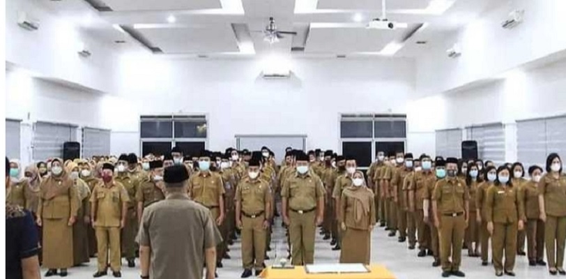 WhatsApp Image 2022 01 03 at 02.06.56