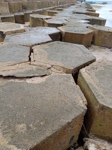 WhatsApp Image 2022 02 06 at 17.53.33 1