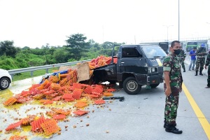 WhatsApp Image 2022 03 24 at 14.54.08 1