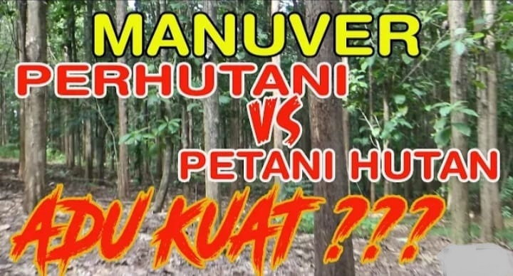 WhatsApp Image 2022 05 15 at 05.29.15