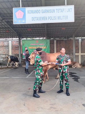 WhatsApp Image 2022 07 12 at 17.37.38