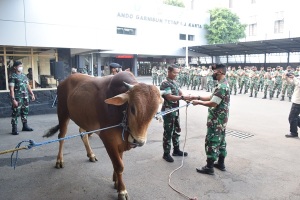 WhatsApp Image 2022 07 12 at 18.34.37