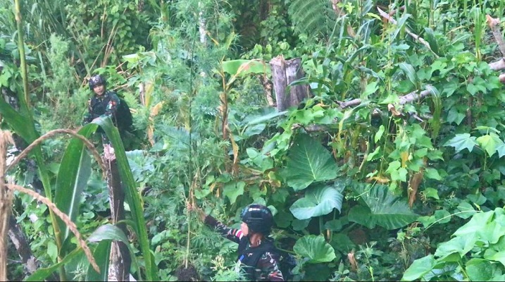 WhatsApp Image 2022 07 13 at 11.59.20