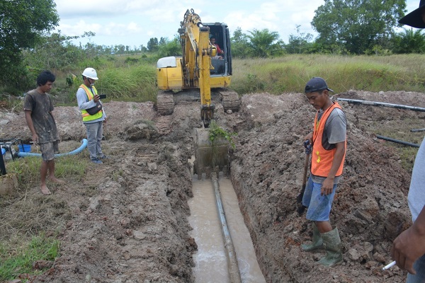 WhatsApp Image 2022 07 14 at 16.35.39