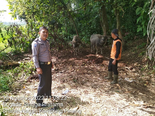 WhatsApp Image 2022 08 10 at 15.07.52