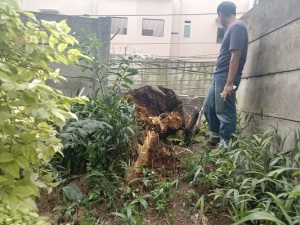 WhatsApp Image 2022 11 02 at 22.53.20