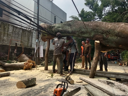 WhatsApp Image 2022 11 02 at 22.53.54