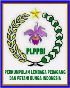 WhatsApp Image 2022 11 03 at 17.45.21