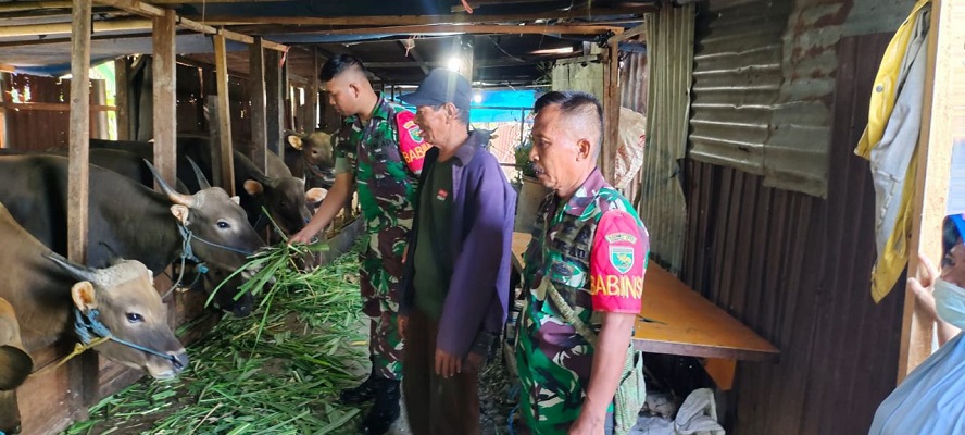 WhatsApp Image 2022 12 10 at 01.27.21